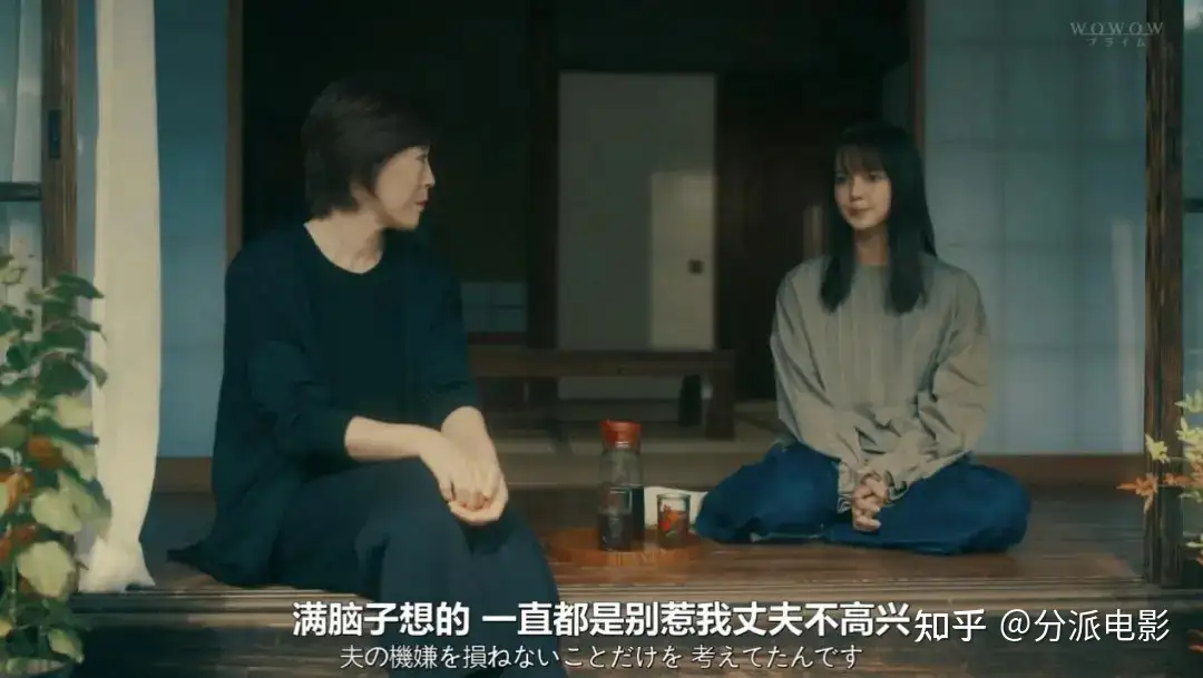 日式悬疑新剧《影中的她们》，手刃仇人？真解气！