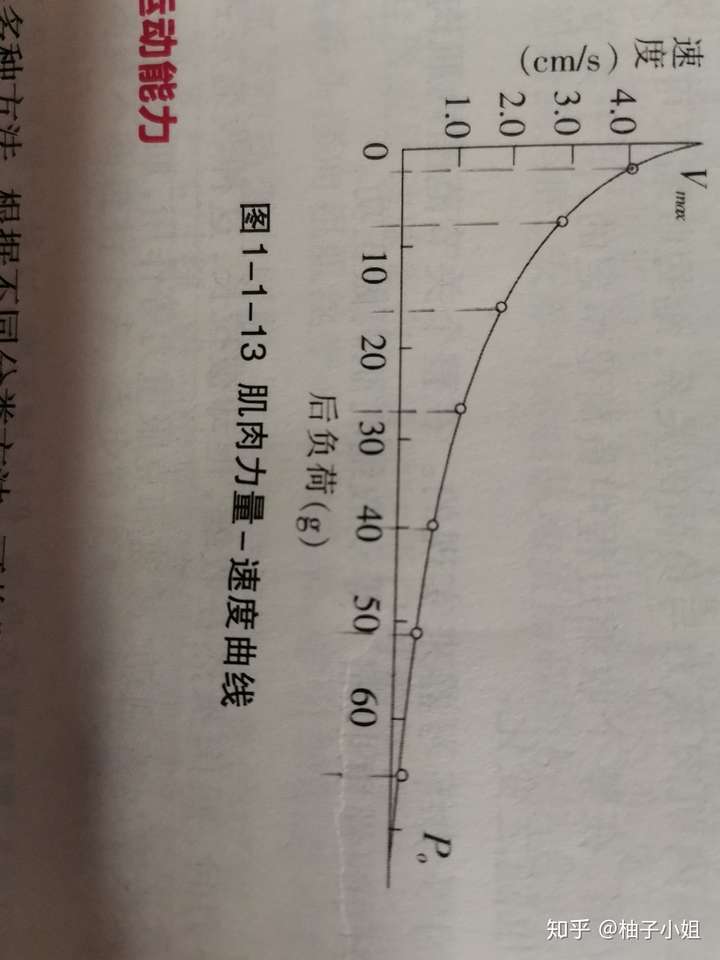 汉服娘 肌肉收缩时产生的张力大小,取决于活化的横桥数目,而收缩速度