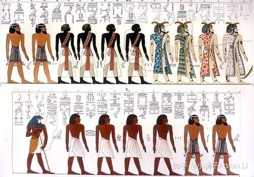 解刨学定义的五大人种是高加索人种,尼格罗人种,蒙古人种,尼格利陀人