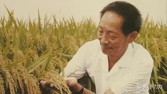 袁隆平的名言语录 知乎
