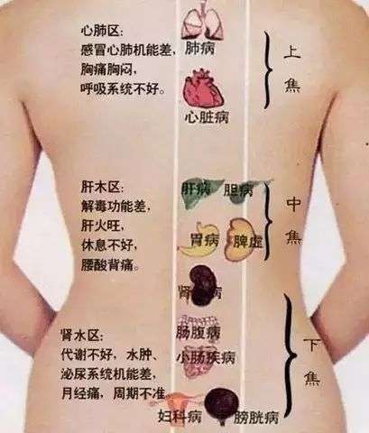 白头发长在不同的地方 暗示不同的身体问题 你知道吗 知乎