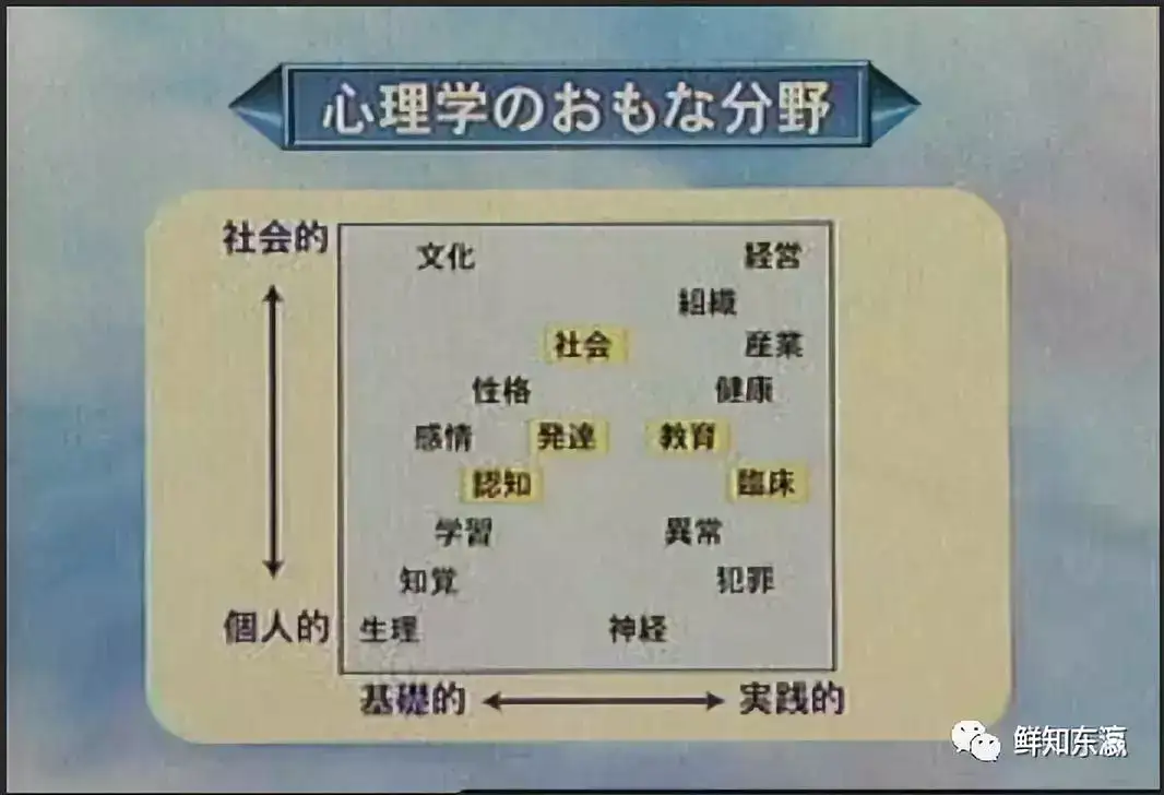 心理学究竟是个神马东东 东京大学临床心理学在读修士王老师访谈录 知乎