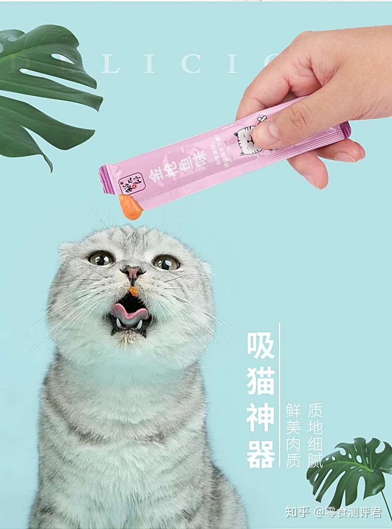 猫零食不会选 一份手册送给你 知乎