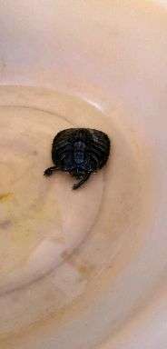 v2-8f0940509a09a34166b4c370415c6177_720w.jpg?source=1940ef5c