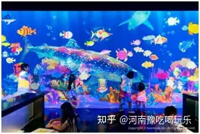 不看后悔（teamlab跨年）teamlab2020，(图16)