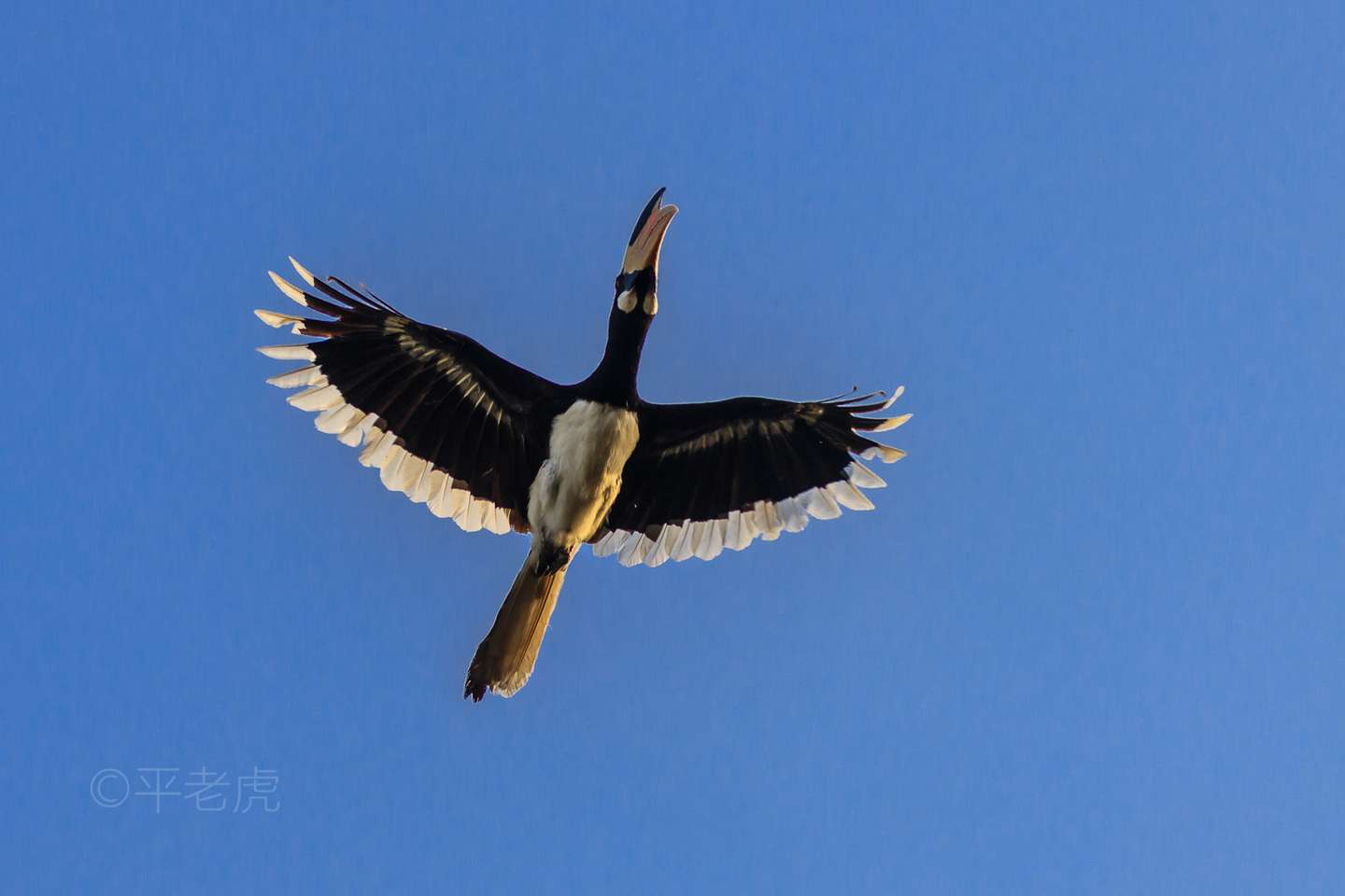一张图系统了解单反 微单的快门优先模式 知乎