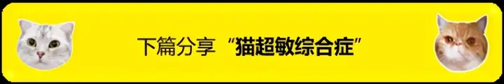 假期给狗狗找寄养?你需要知道这几”