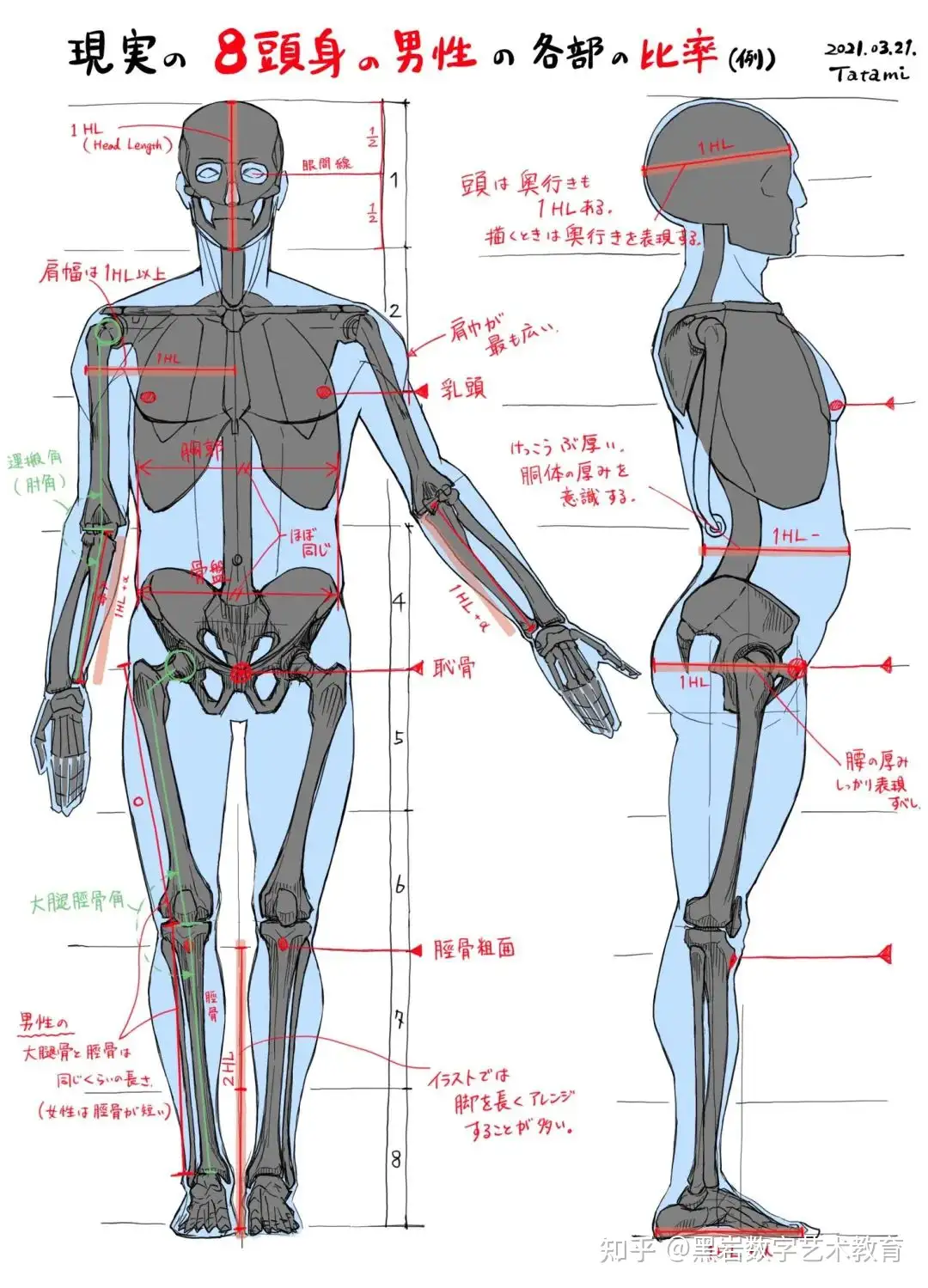 日本人体解剖学上/下-