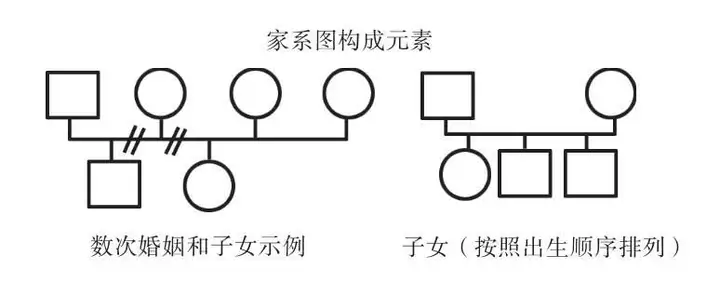 家譜圖的基本繪圖符號