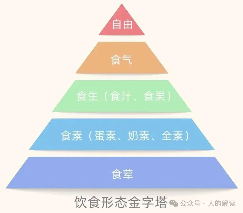 生机饮食的奥秘,吃的不仅是营养还有光-人的解读