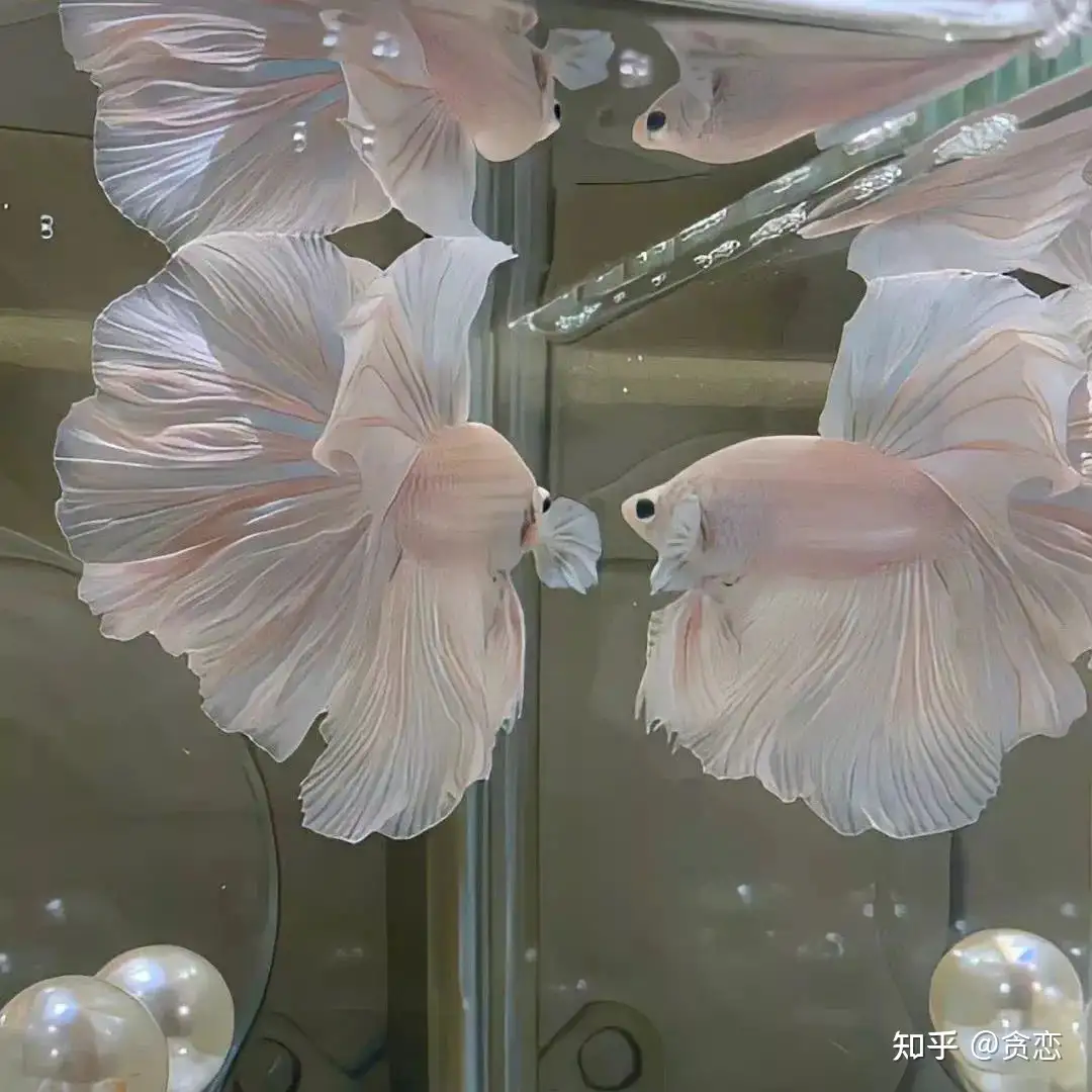 来自《人民日报》的金句文案” - 知乎