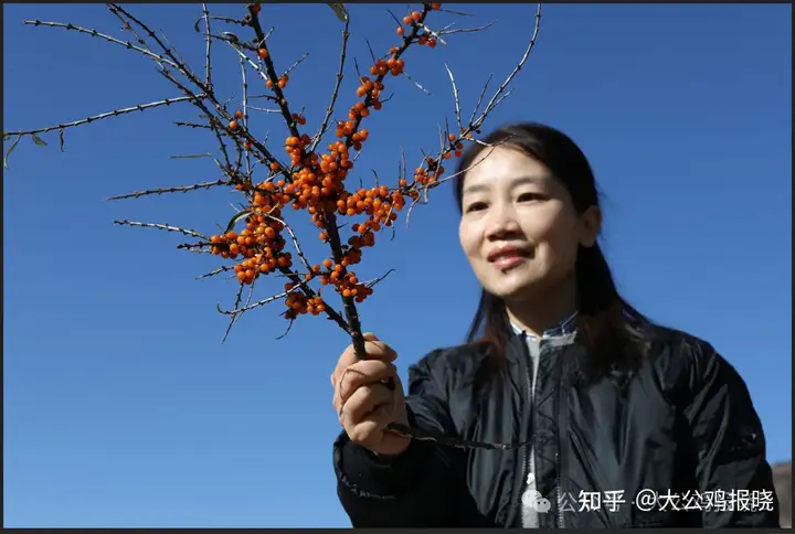 传承中医文化