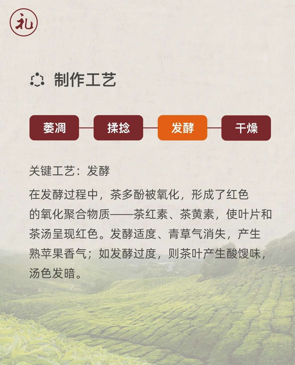 carmen 的想法: [茶] 红茶篇black tea | 红茶为全发酵茶… - 知乎