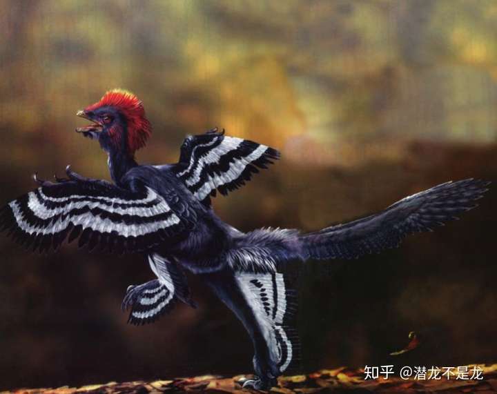 恐龙是否有毛,人类的化石是白骨,无法看出头发是否存在?