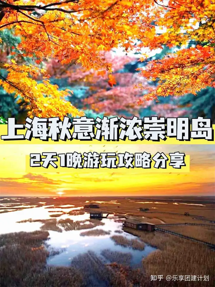 上海团建秋意渐浓崇明岛1日游玩攻略分享