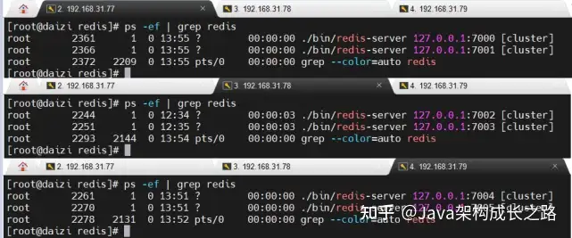 Redis高可用架构—Redis集群（Redis Cluster）详细介绍- 知乎