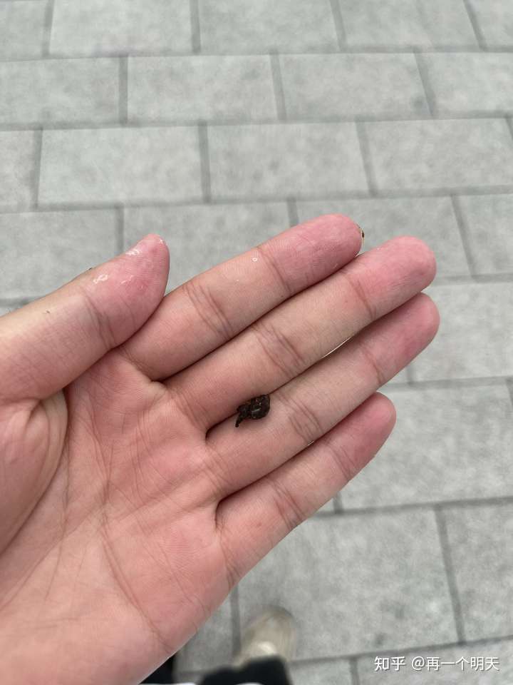 千年耳屎哈哈哈哈