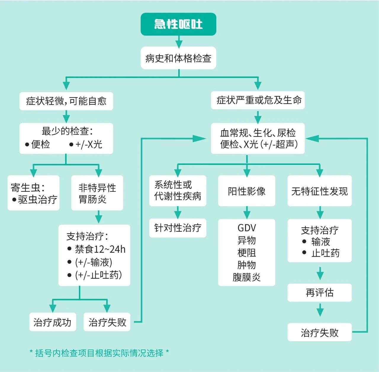 猫咪慢性呕吐反反复复?IBD能否被彻底治愈? - 知乎