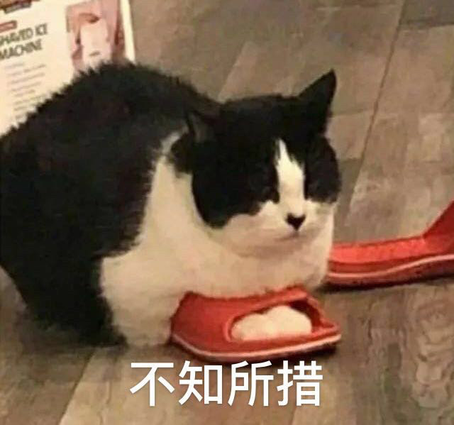 2020-2021年的网络沙雕文案句子搞笑:摩天轮就像个花圈插图45 2020-2021年的网络沙雕文案句子搞笑:摩天轮就像个花圈插图45