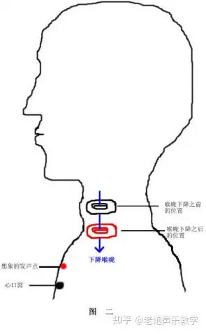 唱歌高音必练的几个技巧,学会了高音立刻就上去了!