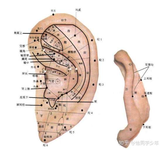 正版3本耳穴治疗学耳穴诊断彩色图谱耳穴诊断学第二版第2版黄丽春 孔夫子旧书网