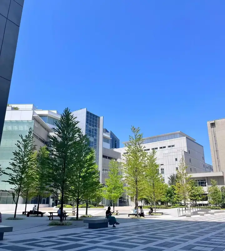 请输入图片描述 请输入图片描述