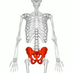 252_252gif 动态图 动图