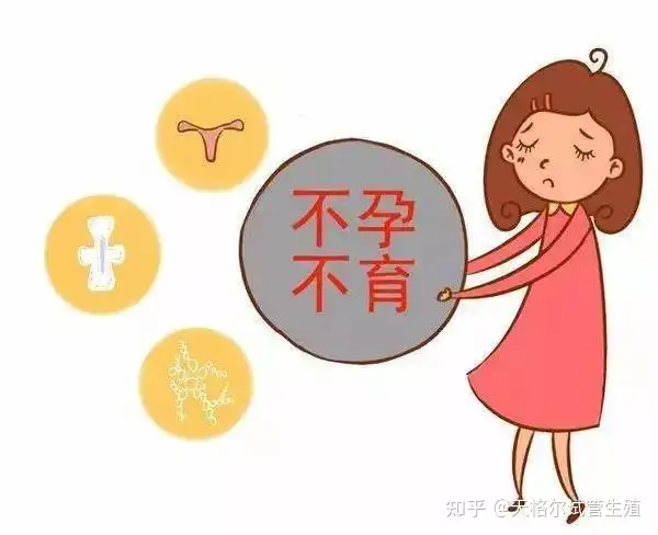 成都三代试管价格（新鲜出炉）