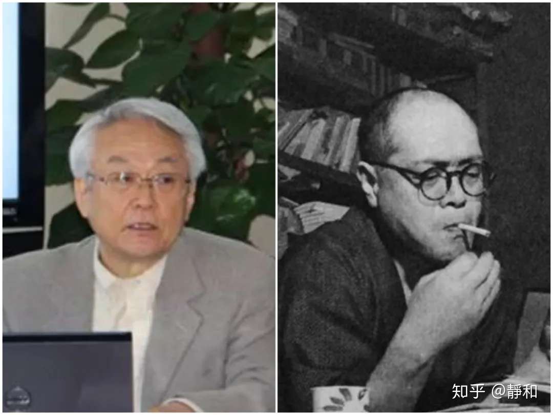 文艺批评 代田智明 危机的葬送 鲁迅 孤独者 论 知乎 文艺批评 代田智明 危机的葬送 鲁迅 孤独者 论 知乎
