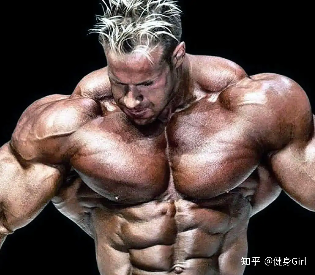 健美 健体 健力有什么区别 知乎