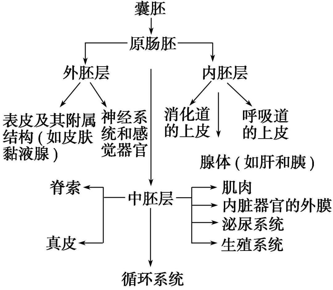 文献解析丨看到最后明白了单细胞研究的高分秘诀 知乎