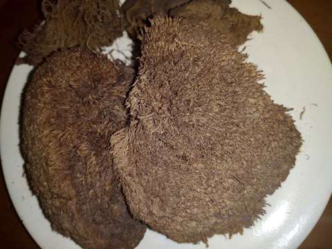 教育发起本期圆桌,用真实的场景,有趣的的学习方式,联合极地探险家