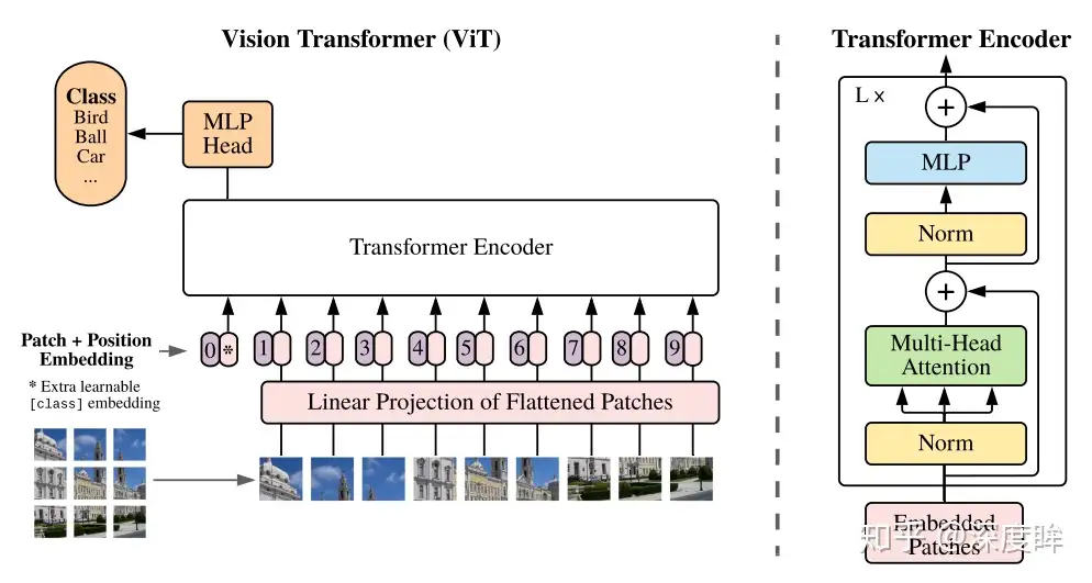 3W字长文带你轻松入门视觉transformer - 知乎