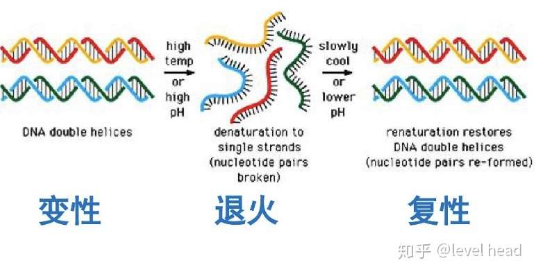 知乎专栏