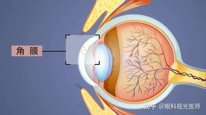 二碌的族病(图1)