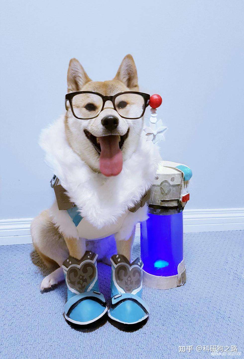 科研狗之路 的想法: 七夕节快乐啦~~科研狗祝大家今天吃好玩好