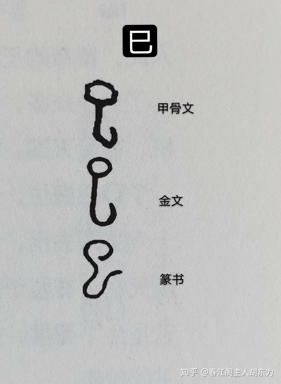 有趣的汉字 巳si 知乎