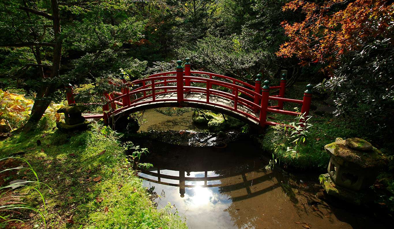 这个冬季值得pick的日本高级日式温泉旅馆 知乎