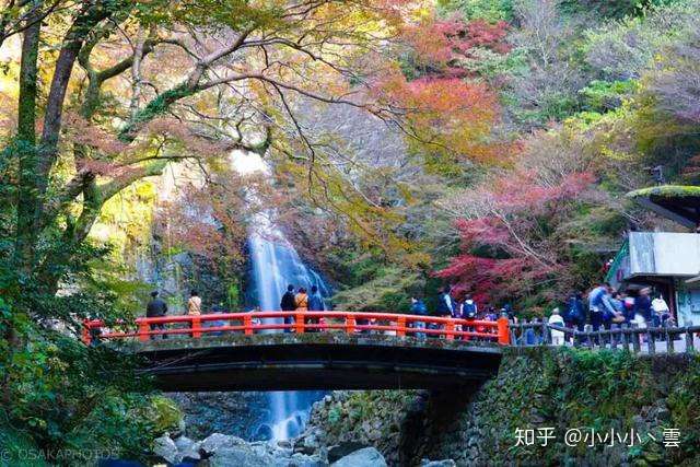 大阪 24小时佛系游玩指南 知乎