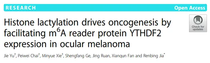 《2024国自然热点—组蛋白乳酸化修饰在肿瘤研究中的思路》