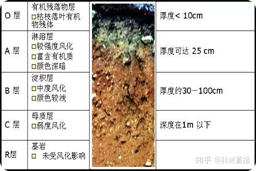 土壤为什么有各种颜色 知乎