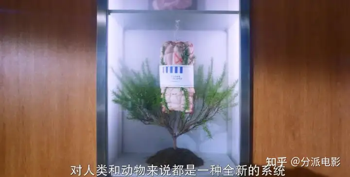 《致真理》自杀4年后,崔雪莉生前纪录片公开