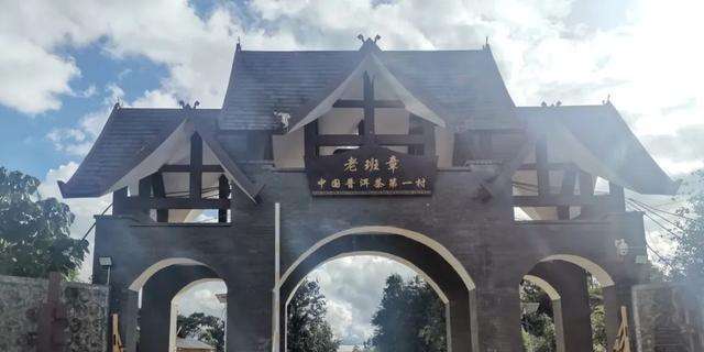 老班章班章老寨与茶王