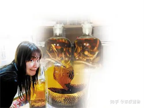 这些令人毛骨悚然的动物泡酒你看过吗 这酒真有功效 知乎