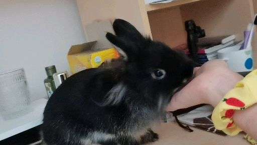 v2-9c297812f46c6616897b30bf5662a628_720w.jpg?source=1940ef5c