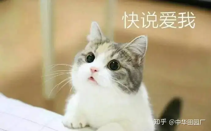 toto马桶对比详解】功能基本上同样的马桶,为什么别人可以比你少花3000