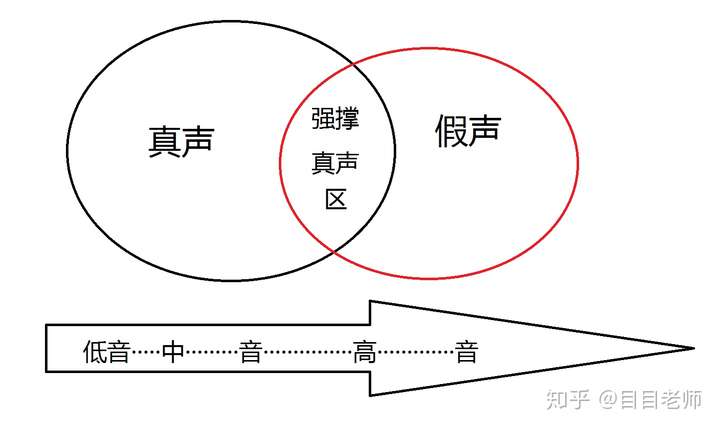 广义的真声是听起来相对实的音色,我们当然可以联系别的概念,比如说