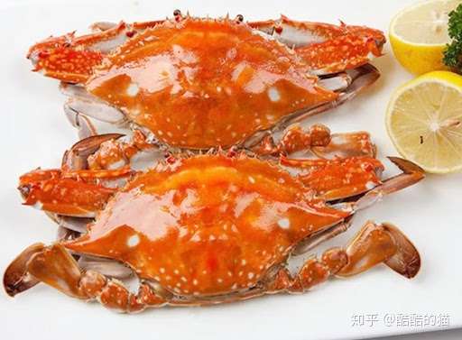 又到一年食蟹季 大闸蟹 梭子蟹 青蟹怎么选 看完立马懂 知乎