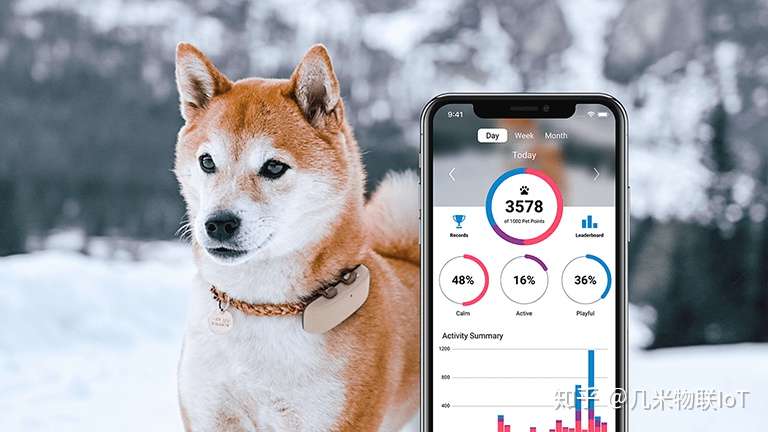 为什么说宠物智能定位项圈激活了智能穿戴市场 知乎