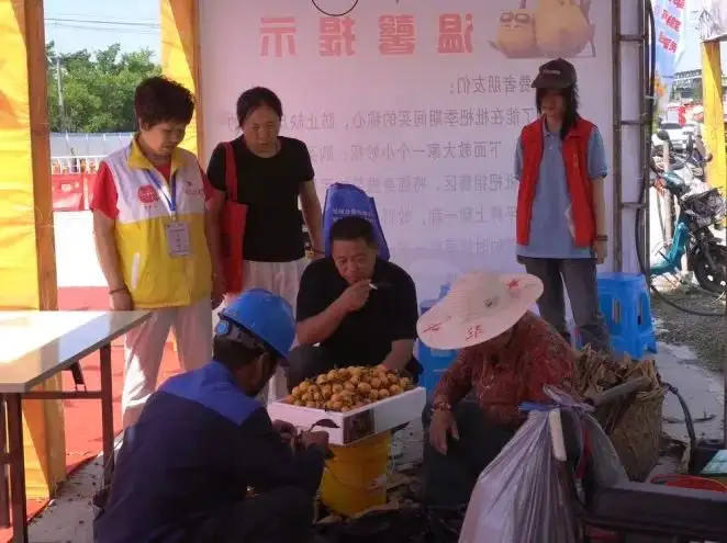 志愿承心意 秤守枇杷香 | 塘栖校区枇杷节志愿服务(图9)
